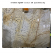 EMOTION SPIDER - MPK STONE